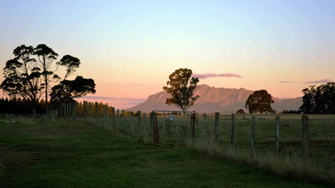 Buttons Cottage For Canyon & Rain Forest Walks With In House Dining - Accommodation Search 31