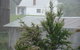 Buttons Cottage For Canyon & Rain Forest Walks With In House Dining - thumb 9