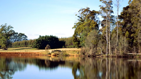 Buttons Cottage For Canyon & Rain Forest Walks With In House Dining - Accommodation Search 29