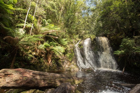 Strahan Village - Accommodation Search 27