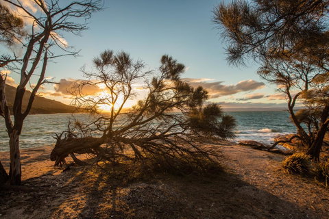 Freycinet Lodge - Accommodation Search 44