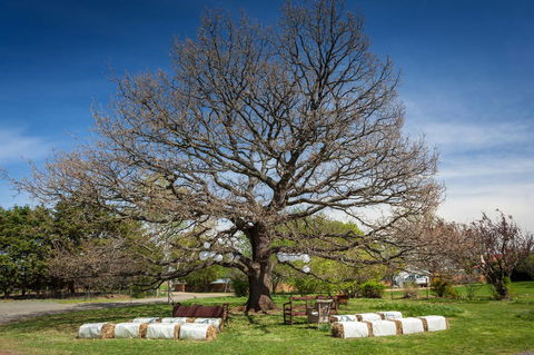 Ratho Farm - Accommodation Search 8