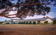 Beachfront Bicheno - thumb 40