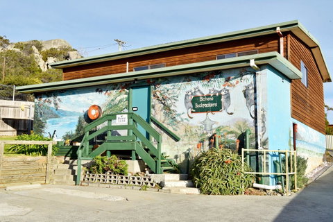 Bicheno Backpackers - Accommodation Search 10