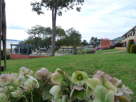 Swansea Motor Inn Tasmania - Accommodation Search 17