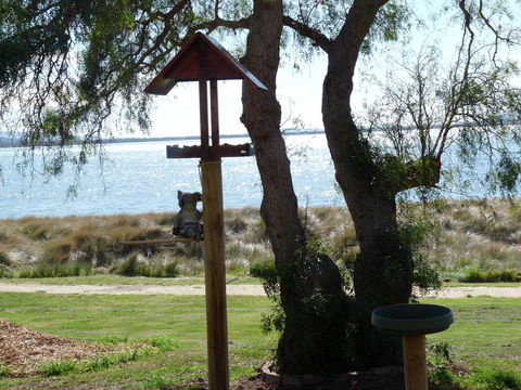 Swansea Motor Inn Tasmania - Accommodation Search 20