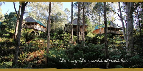 Lemonthyme Wilderness Retreat - Accommodation Search 20