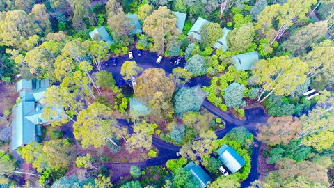 Lemonthyme Wilderness Retreat - Accommodation Search 1