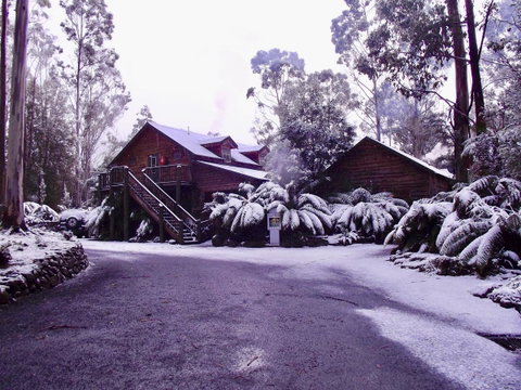Lemonthyme Wilderness Retreat - Accommodation Search 12
