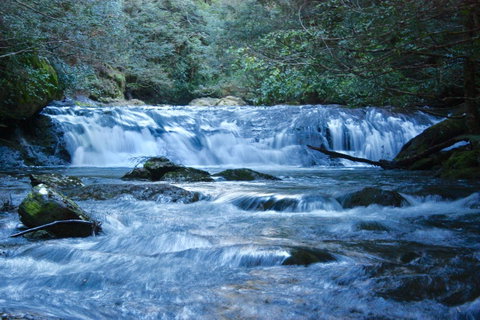 Lemonthyme Wilderness Retreat - Accommodation Search 10