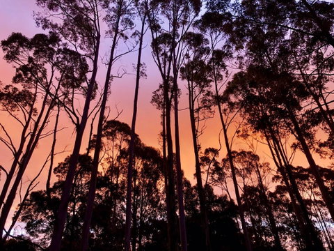 Lemonthyme Wilderness Retreat - Accommodation Search 8