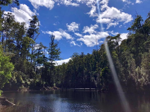 Lemonthyme Wilderness Retreat - Accommodation Search 7