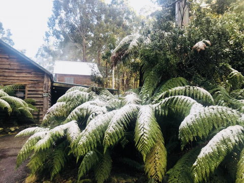 Lemonthyme Wilderness Retreat - Accommodation Search 5