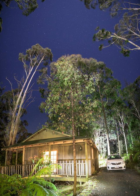Lemonthyme Wilderness Retreat - Accommodation Search 3