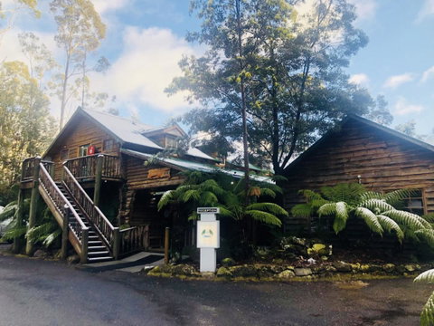 Lemonthyme Wilderness Retreat - Accommodation Search 4