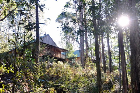 Lemonthyme Wilderness Retreat - Accommodation Search 25