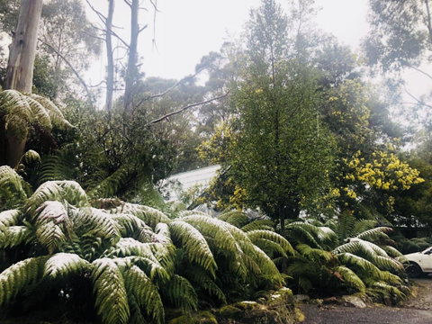Lemonthyme Wilderness Retreat - Accommodation Search 16