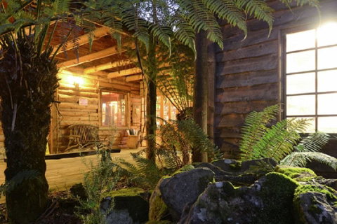 Lemonthyme Wilderness Retreat - Accommodation Search 27