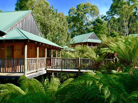 Lemonthyme Wilderness Retreat - Accommodation Search 11