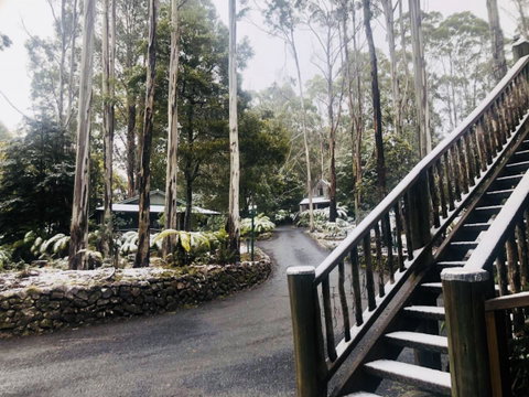 Lemonthyme Wilderness Retreat - Accommodation Search 15