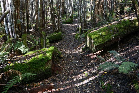 Lemonthyme Wilderness Retreat - Accommodation Search 22