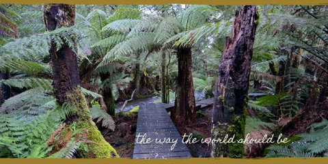 Lemonthyme Wilderness Retreat - Accommodation Search 17