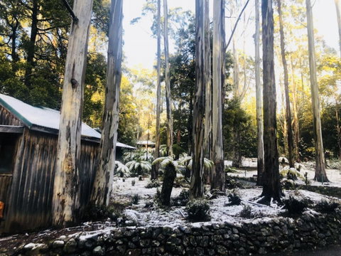 Lemonthyme Wilderness Retreat - Accommodation Search 6
