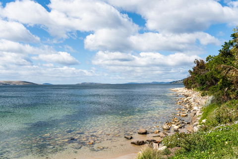 Litora Accommodation - Accommodation Search 27