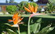 Beachway Motel - thumb 21
