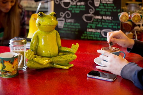 The Pickled Frog - Accommodation Search 30
