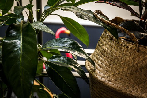 Alabama Hotel Hobart - Accommodation Search 25