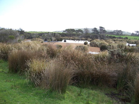 Cloudy Bay Beach House - Accommodation Search 24
