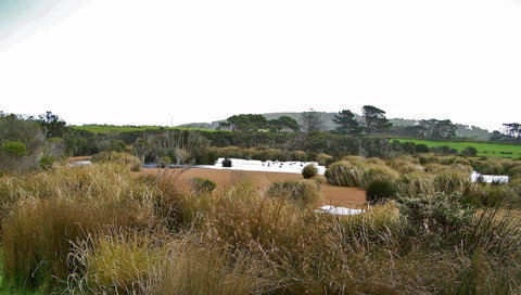 Cloudy Bay Beach House - Accommodation Search 19