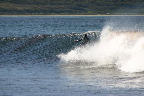 Cloudy Bay Beach House - Accommodation Search 8