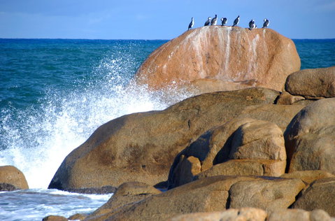 Cloudy Bay Beach House - Accommodation Search 29
