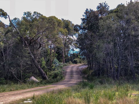 BAY OF FIRES ECO HUT Off Grid Experience At Binalong Bay - Accommodation Search 12