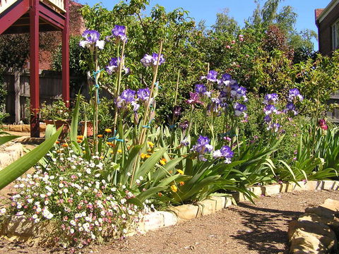 Bendalls Bed And Breakfast - Accommodation Search 10