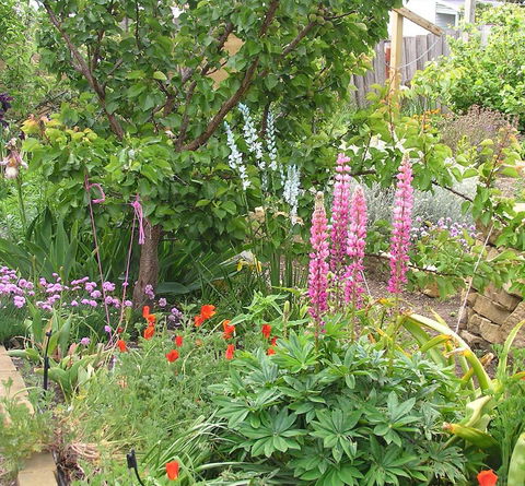 Bendalls Bed And Breakfast - Accommodation Search 14