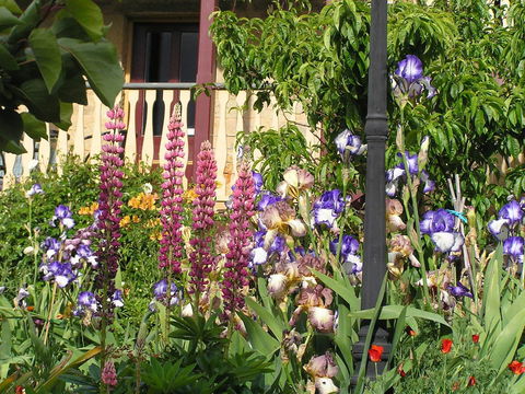 Bendalls Bed And Breakfast - Accommodation Search 19