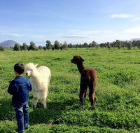 Taras Richmond Farmstay - Accommodation Search