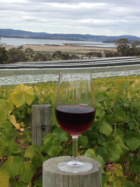 Bellerive Marina View Apartments No 28 - Accommodation Search 31