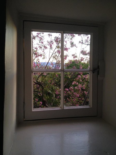 Blue Magnolia - Accommodation Search 36