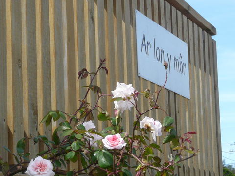 Ar Lan Y Mor - Accommodation Search 12