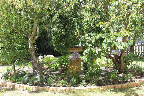 Bellamona - Accommodation Search 23