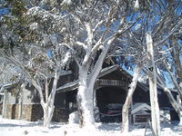Book Dinner Plain Accommodation Vacations Accommodation Search Accommodation Search