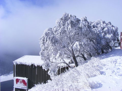 Arlberg Hotham - Accommodation Search 15