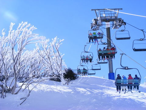 Arlberg Hotham - Accommodation Search 12