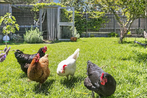 Bilinga Cottages - Accommodation Search 16