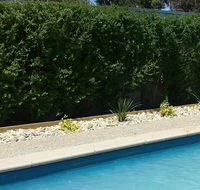 Robinvale Bridge Motel - Accommodation Search