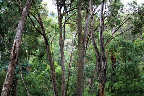 Tangenong Cottages - Accommodation Search 9
